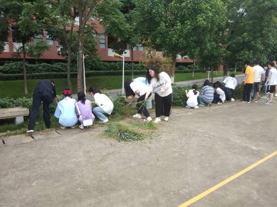 我為校園添光彩