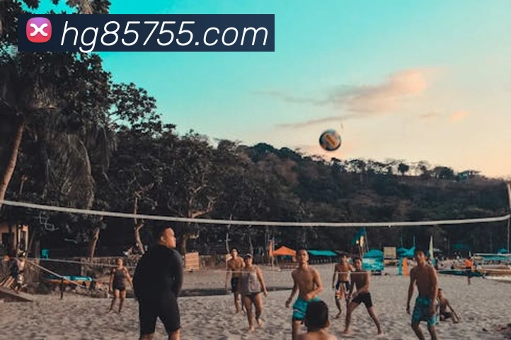 皇冠网官网平台生态图