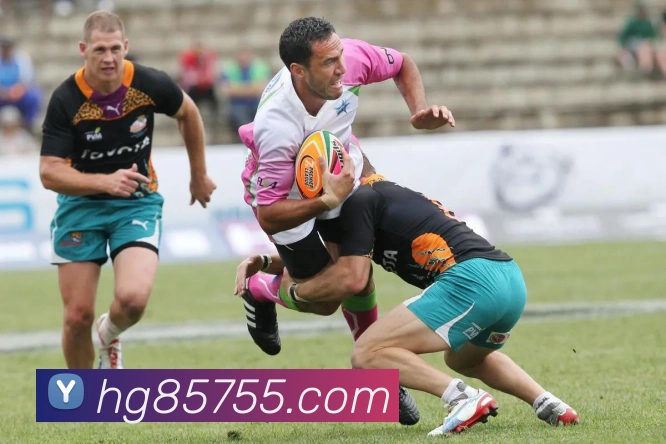 皇冠网官网APP 封面图